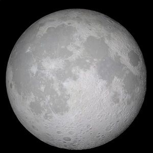 Meet your Posher, Dave